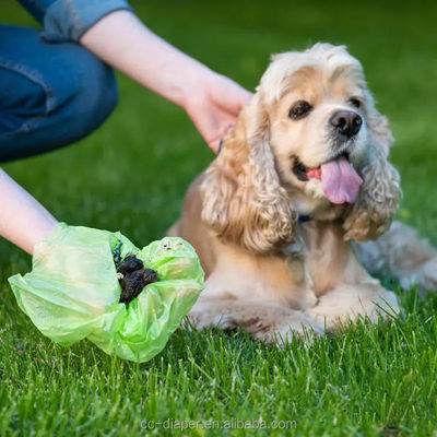 Kunststofffreie, maßgeschneiderte, biologisch abbaubare, kompostierbare, einweg verwendbare Hunde-Kak-Tasche