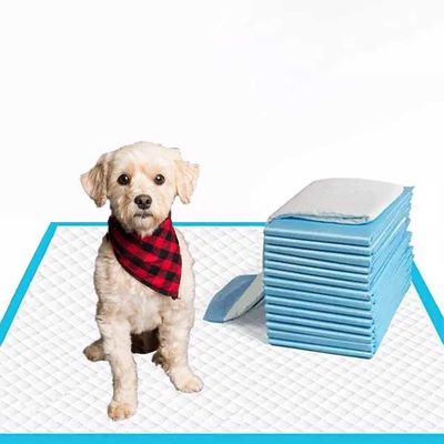 20g-120g Kern Hunde Tiertraining Pads Windeln Holzkohle Tiertraining Pads für Hunde Windeln