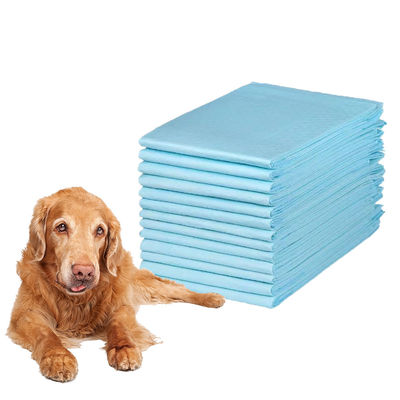 Atmungsaktive PE-Rückfilme Einweg-Trainingspolster für Hunde, Katzen und Tiere XL 60x90