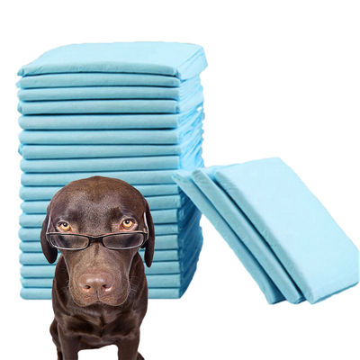 Kleine Tiere Fünf-Schicht-Super-Absorptions-Haustier-Training Pad für Urin Pee Mat Hund Katze