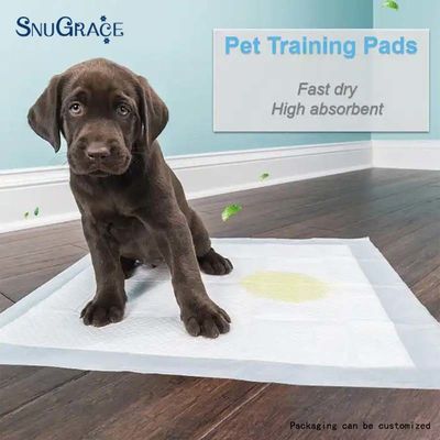 SNUGRACE Hunde-Pisse-Pad für schnelle Potty-Training 600X350mm 600X450mm 600X600mm 900X600mm