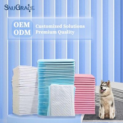 Deodorieren Sie die Toilettenausflüge Ihres Hundes mit SnuGrace Training Pads