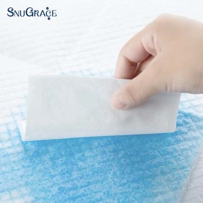 Deodorieren Sie die Toilettenausflüge Ihres Hundes mit SnuGrace Training Pads