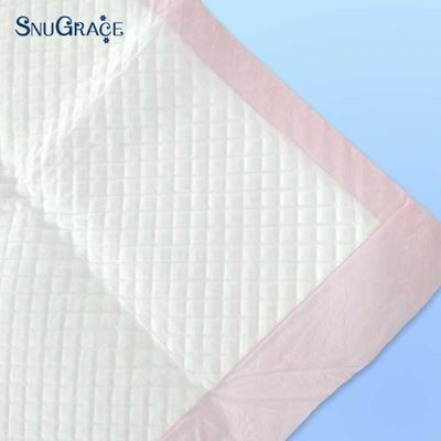 Deodorieren Sie die Toilettenausflüge Ihres Hundes mit SnuGrace Training Pads