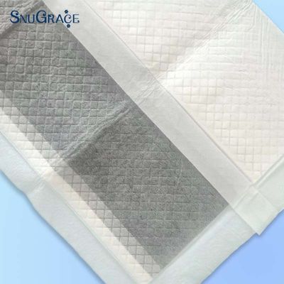 Deodorieren Sie die Toilettenausflüge Ihres Hundes mit SnuGrace Training Pads