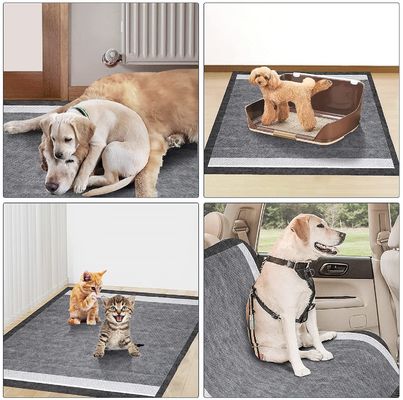 Holzkohle-absorbierende Haustier-Piss-Pads für Hunde Katzen Tiere Einweg-Training-Pussy-Pads