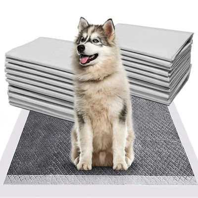 CE ISO-zertifizierte Blaue SnuGrace Hunde-Pissmatte Schnelle Absorption und langlebige Trainingsmatte