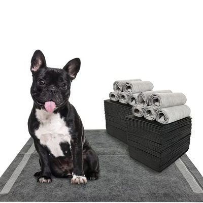 CE ISO-zertifizierte Blaue SnuGrace Hunde-Pissmatte Schnelle Absorption und langlebige Trainingsmatte