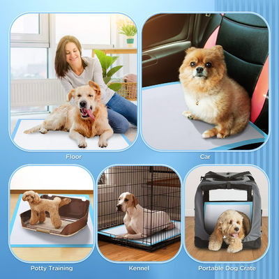 Personalisierte Pet Potty Training Pads Kerninkontinenz Pet Pad für Trainingshunde