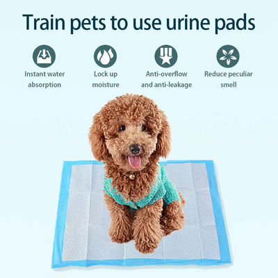 Personalisierte Pet Potty Training Pads Kerninkontinenz Pet Pad für Trainingshunde