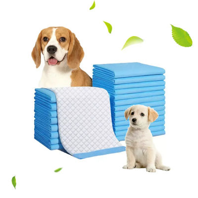 Blaue Einweg-Chucks Pisse Pads für Welpen Hunde Potty Training 20g-120g Profi