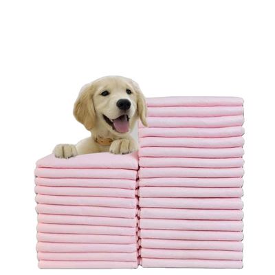 S.M.L.XL.XXL Tierpflege-Pads für OEM/ODM kundenspezifische Farbe Einweg-Pee-Pads für Tiere