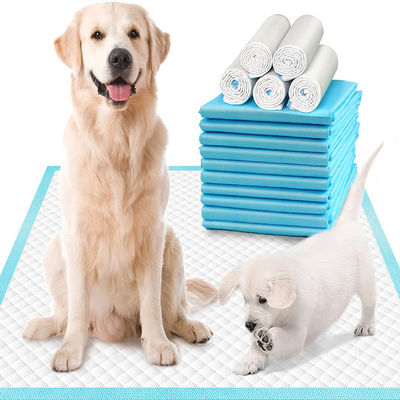 S.M.L.XL.XXL Tierpflege-Pads für OEM/ODM kundenspezifische Farbe Einweg-Pee-Pads für Tiere