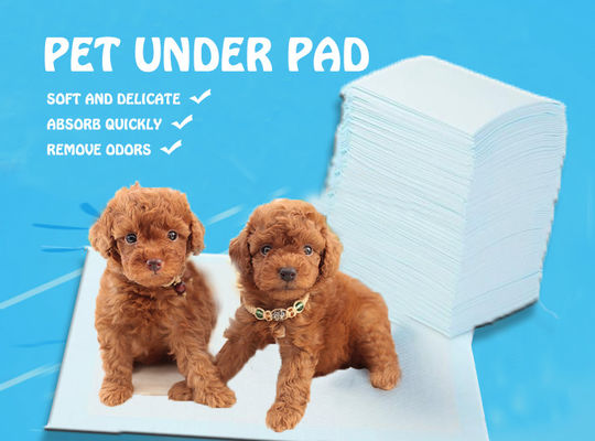 S.M.L.XL.XXL Tierpflege-Pads für OEM/ODM kundenspezifische Farbe Einweg-Pee-Pads für Tiere