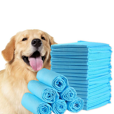 Blau/Weiß/Grün/Schwarz/Grau-Trainingsprodukte für Haustiere Einweg-Hundepillen für das Training