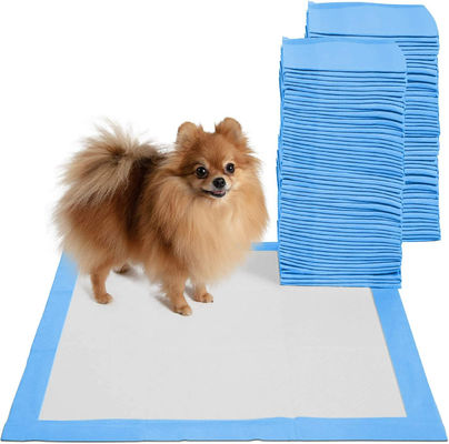 Produkte zur Ausbildung von Haustieren Superabsorbierendes undichtes Einweggedächtnis für Hunde Katzen Tiere