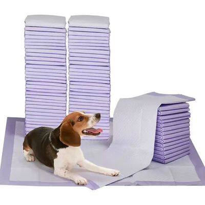 2023 Bestseller Umweltschutzfreundliche Hunde-Pad für Haustier-Training Einweg-Haustier-Training Pad