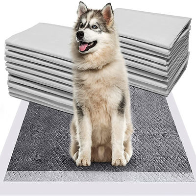 20g-120g Japan Bambus Holzkohle Absorptionsmittel Pet Training Pee Pad Pet Potty Underpad Bestseller Training Pad