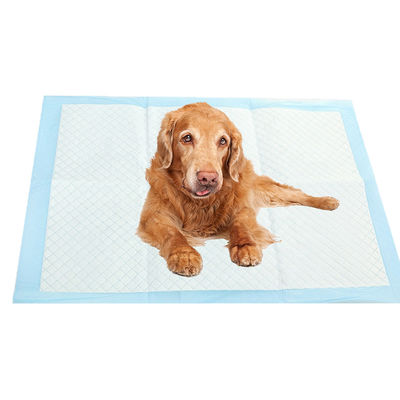Extragroße Urin-Training-Pads für Hunde für Welpen Blau CE ISO-zertifiziert