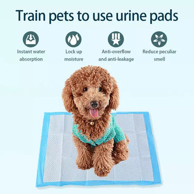 Probe zur Verfügung gestellt Atmung und Anti-Urin-Hund Pad Amazon Top-Seller für die Absorption