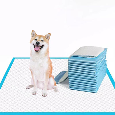 Blau 5-Schicht Einweg-Trainings-Pad für kleine/mittlere/große Hunde