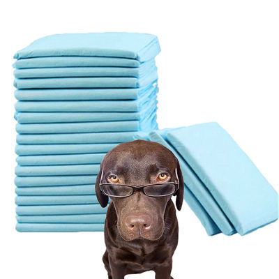 600X350 600X450 600X600 900X600 Leckdichtes Tier-Training Pad mit nachhaltigem Material