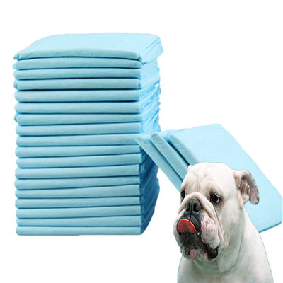 Kleine Tiere Tier-Training Pad für Urin-Absorption und Agilität Training
