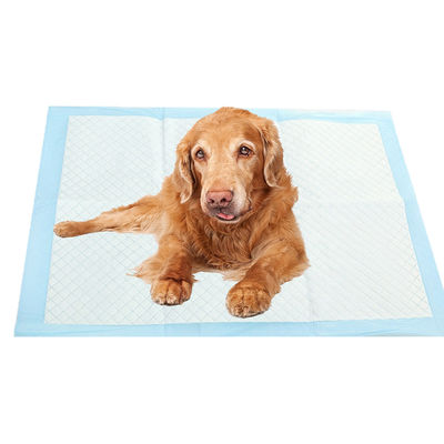Urinbehälter für Haustiere Hunde Kleine Tiere Länge X Breite mm 600X350 600X450 600X600 900X600