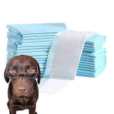CE-ISO-zertifizierte Produkte für die Ausbildung von Haustieren Absorptionskissen für Hunde 90X60 60X60 cm für Haustiertoiletten