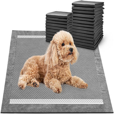 Schwarze Superabsorptionsmittel für Hunde und Katzen Bambuskohle