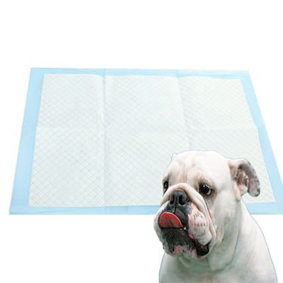 Einweg-Pets für Hunde in Schwarz, Weiß, Blau und Grün