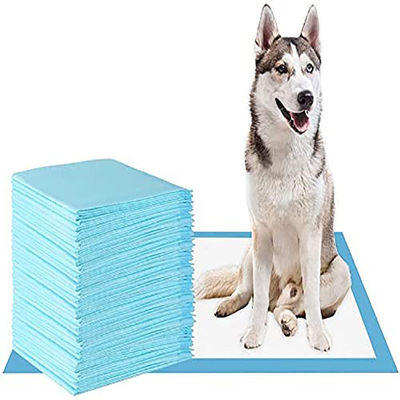Nachhaltiges Einweg-Puppy-Training für Hunde und Katzen