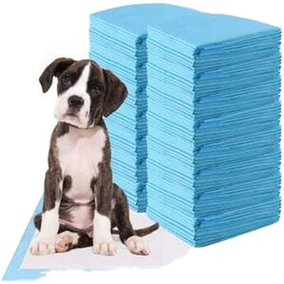 Einweginkontinenz L XL Pee Pad Training Pad für Haustierwelpen Training Pee Pad