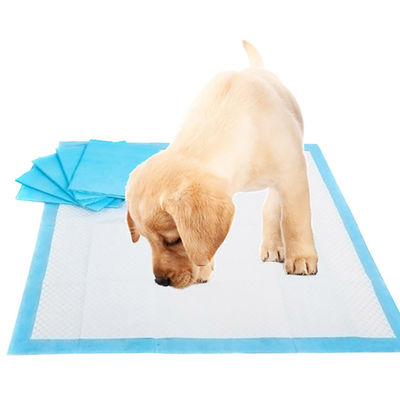 Einweginkontinenz L XL Pee Pad Training Pad für Haustierwelpen Training Pee Pad