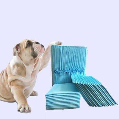 Einweginkontinenz L XL Pee Pad Training Pad für Haustierwelpen Training Pee Pad
