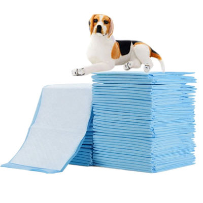 OEM ODM Akzeptable Haustierwechselkissen für Welpen Hunde Katze Absorptionsmatte Spritzkissen Urinkissen