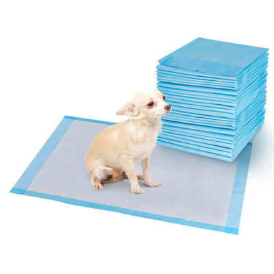 Flusspulpe Absorptionsmittel für Hunde und Katzen