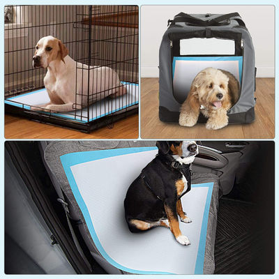 Extra-große Absorptions-Hunde-Trainings-Piss-Pads 60x90 60x60 60x45 mit Soft Nowoven Frabic